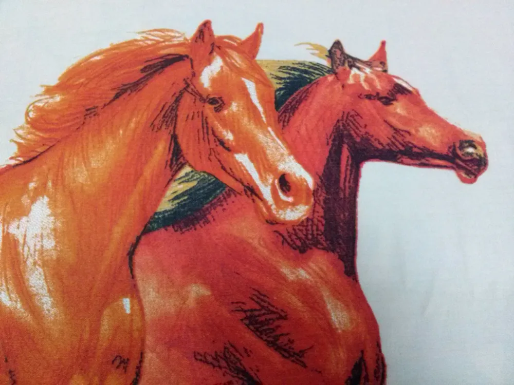 Pościel Konie z satyny bawełnianej 200x220 Konie - wzór pościeli