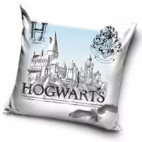 Poszewka dekoracyjna 40x40 Harry Potter  biaął niebieska welwetowa 12 Darymex